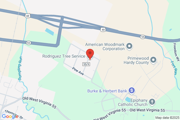 Rodriguez Tree Service LLC