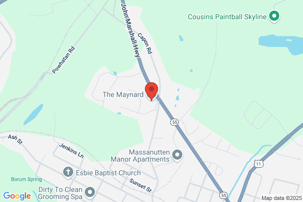 The Maynard