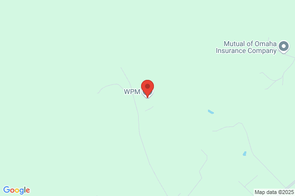 Wpm Inc