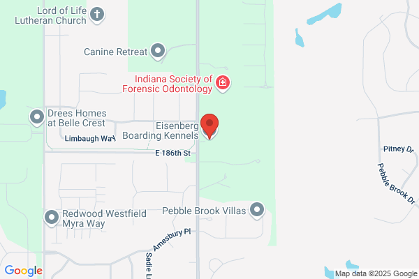 Ace Boarding Kennels