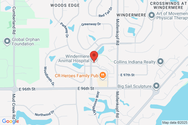 Windermere Animal Hospital