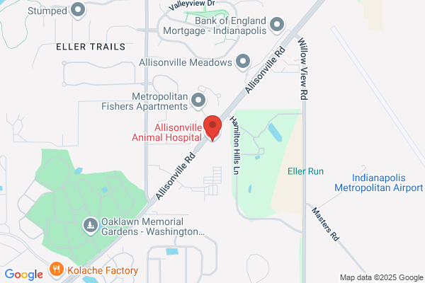 Allisonville Animal Hosp