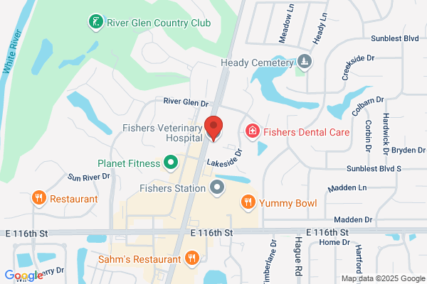 Fishers Veterinary Associates