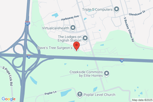 Dave's Tree Surgeon's, Inc