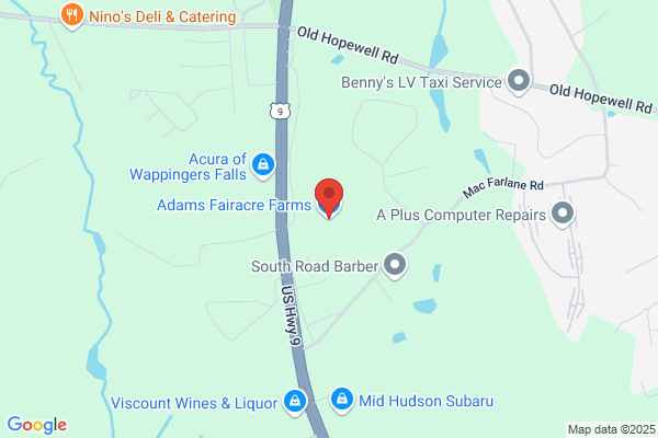 Adams Wappinger