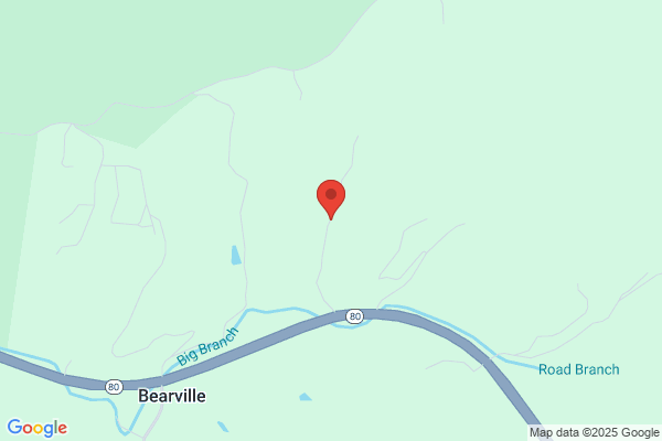 Bearville Market
