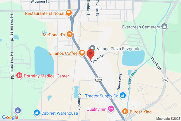 Advance Auto Parts