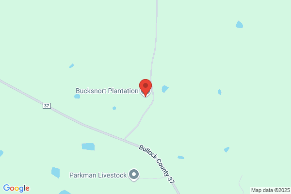 Buck Snort Plantation