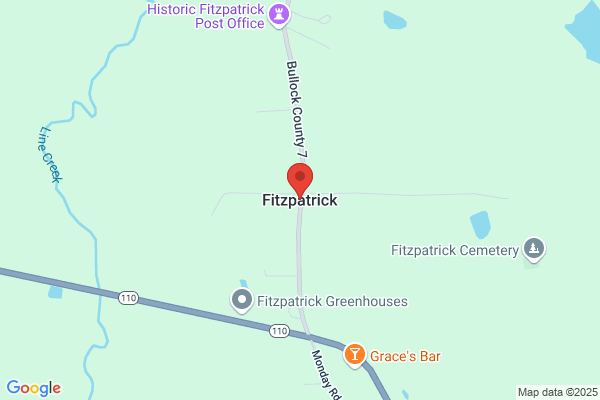 The New Fitzpatrick Grocery