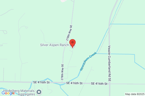 Aspen Ranch Friesians