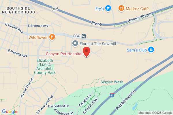 Brucchieri, Elizabeth DVM - Canyon Pet Hospital
