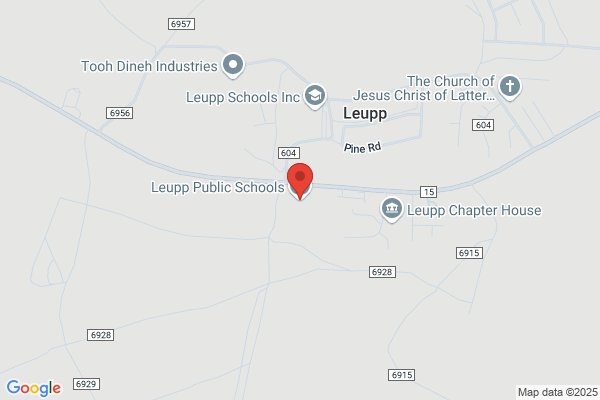 Leupp Public School District