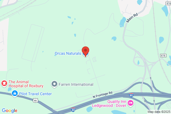 Orcas International Inc
