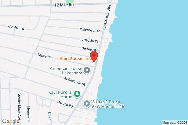 Sily Goose Inn