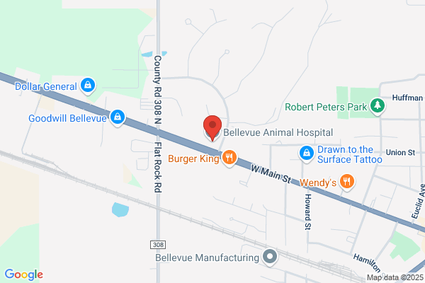 Bellevue Animal Hospital