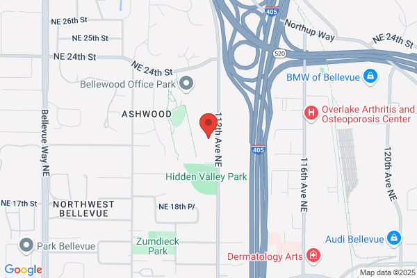 Bellevue Massotherapy