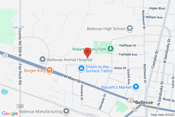 Bellevue Society For the Art