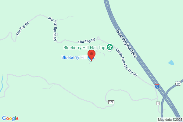 Blueberry Hill Nursery