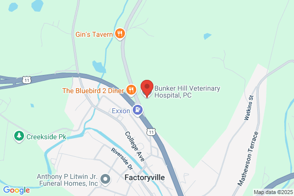 Bunker Hill Veterinary Hospital