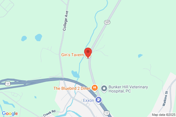 Gin's Tavern