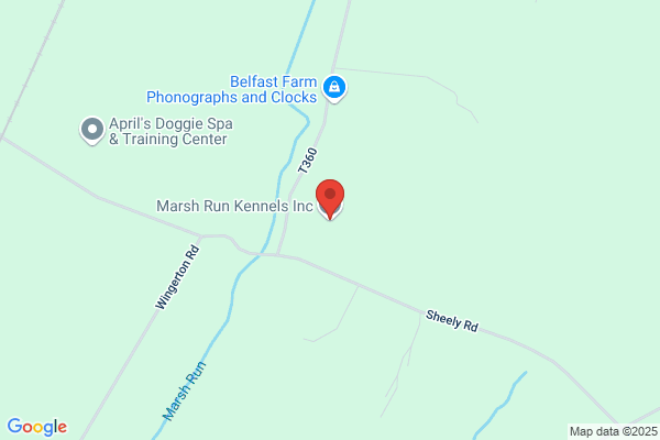 Marshbrook Boarding Kennels