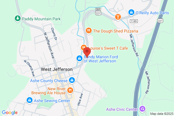 Alvin P Jenkins DDS PA