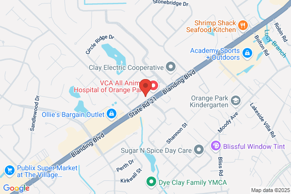 Chiropractic Spine and Injury Center, LLC