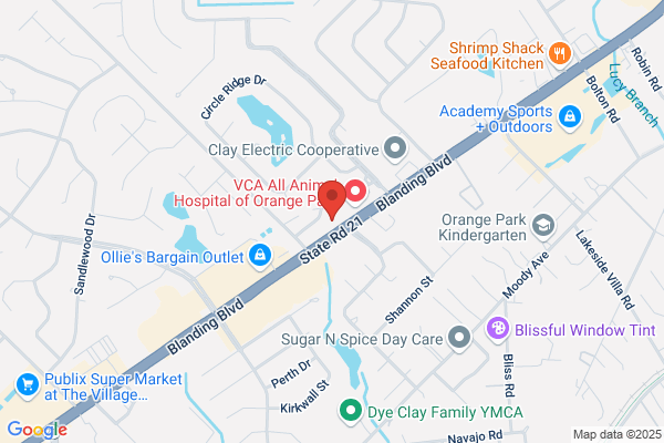 Orange Park Dentistry