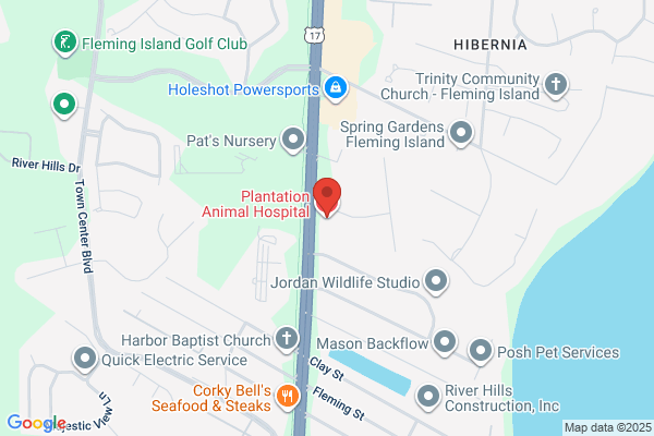 Plantation Animal Hospital