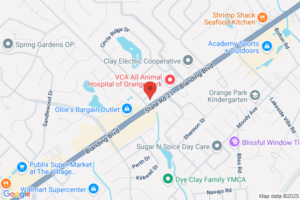 CORA Physical Therapy Orange Park