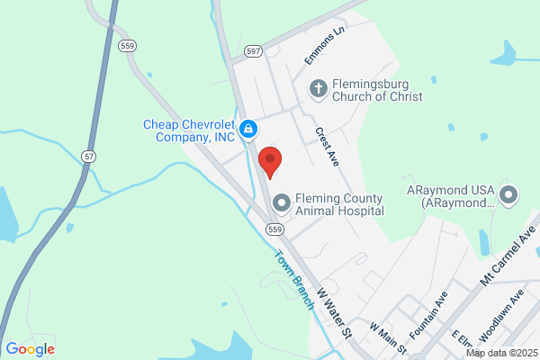 Fleming Auto Parts