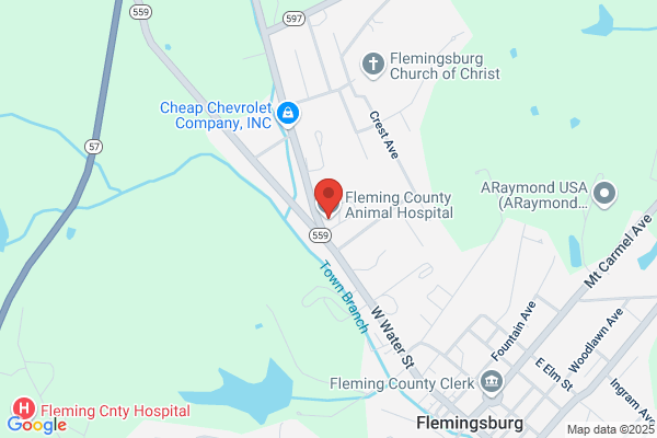 Fleming County Animal Hospital
