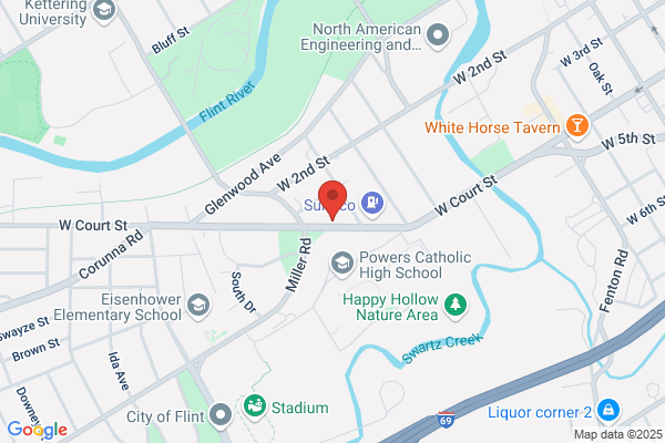 Foster Care Service-Flint Lssm