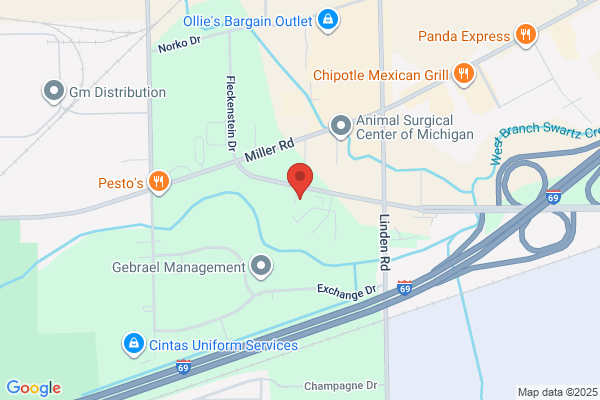 Flint Examination Center
