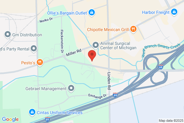 Xcel Dental Studio