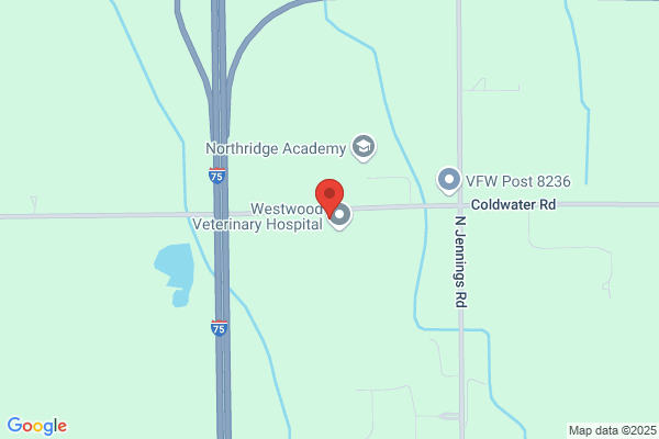 Westwood Gifts & Antiques