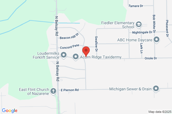 Alternative Assisted Living LLC