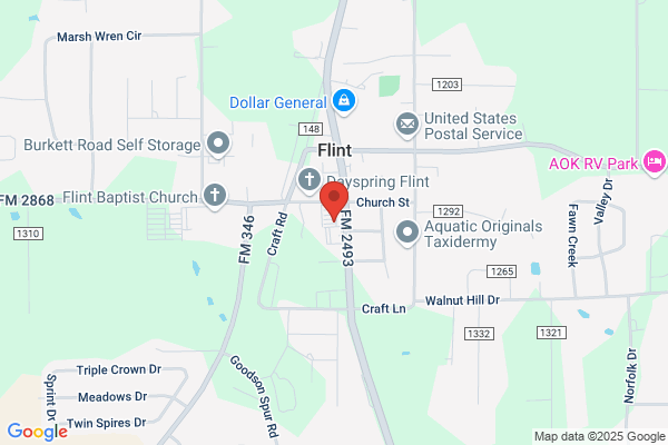 Flint Self Storage