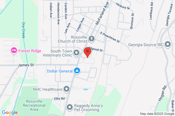 South Rossville Sr Village Apartments