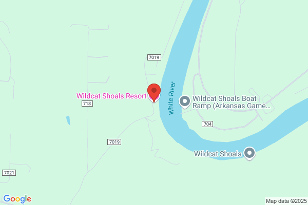 Wildcat Shoals Resort