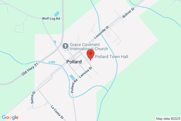 Town of Pollard