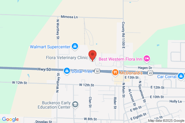 Flora Veterinary Clinic