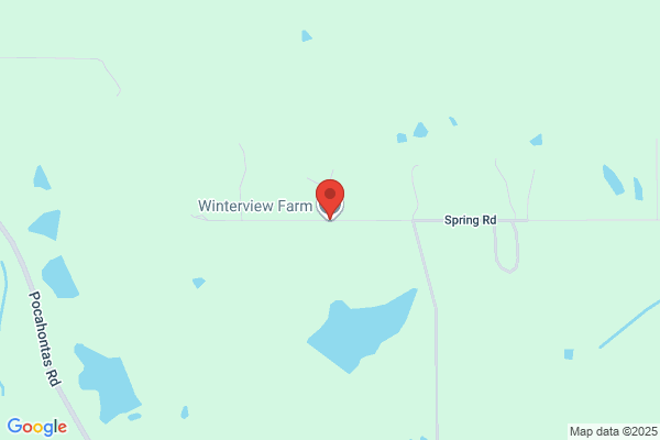 Winterview Farm