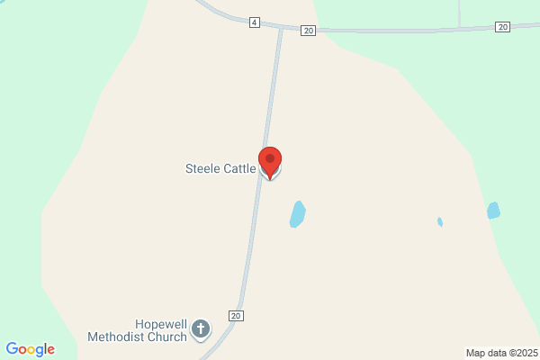 Stovall Lime & Cattle