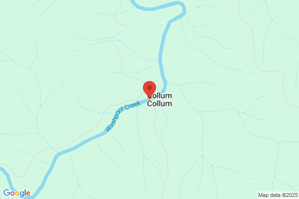 Collum, Rick - E-Z Pay Auto Insurance
