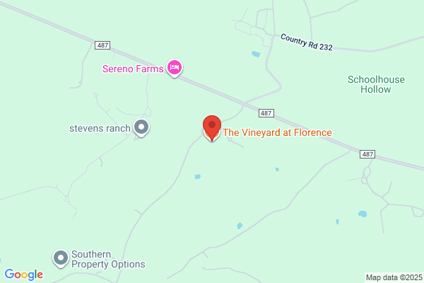 Florence Vineyards