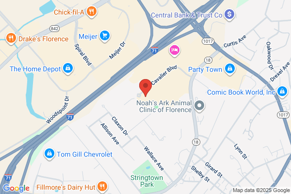 Moore Dental Services