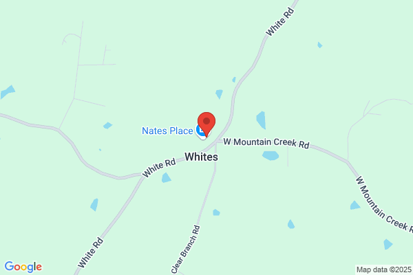 Wimberly Taxidermists