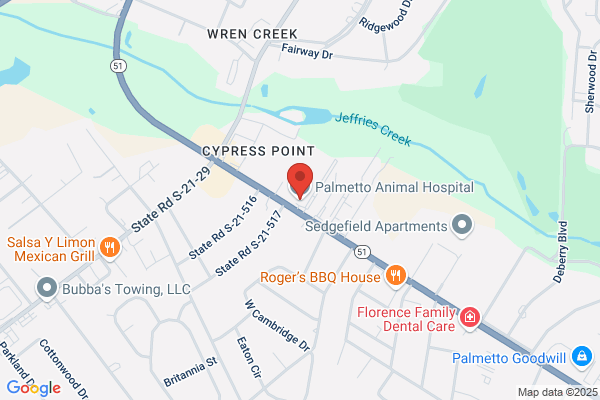 Palmetto Animal Hospital
