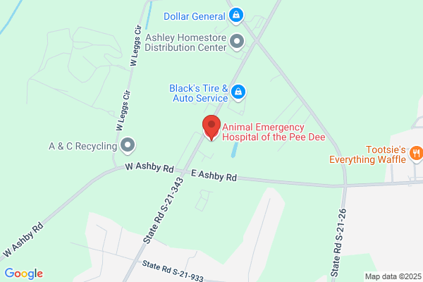 VCA Pee Dee Animal Hospital - CLOSED